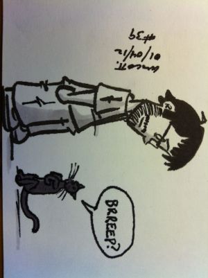 Seriously, it's all Meerkat Manor up in our house.